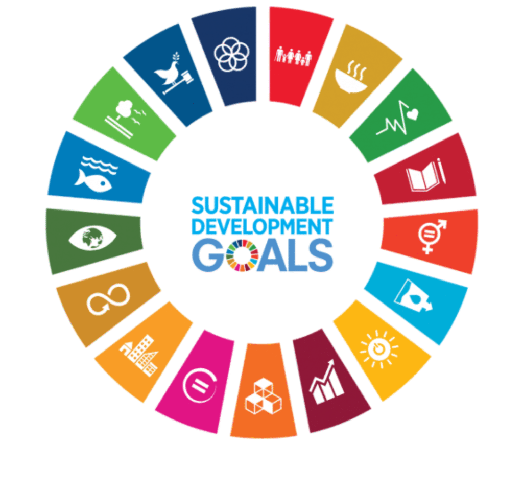Sustainable Development Goals image