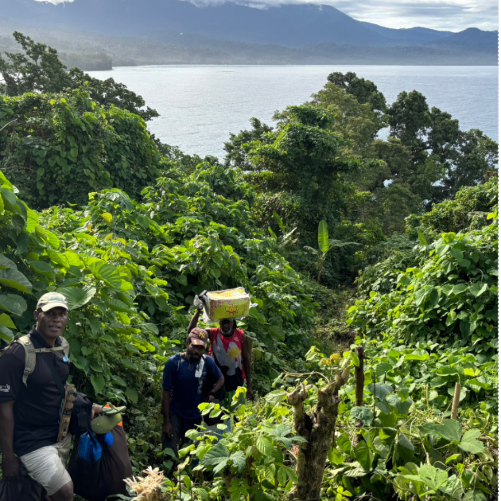 REDD+ in Papua New Guinea image
