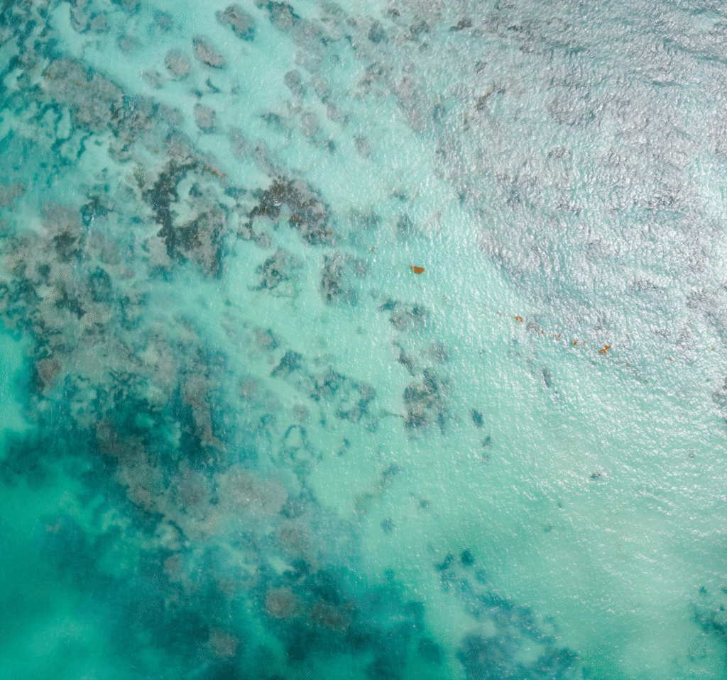 Aerial image of ocean