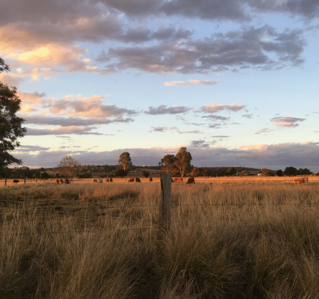 Countryside