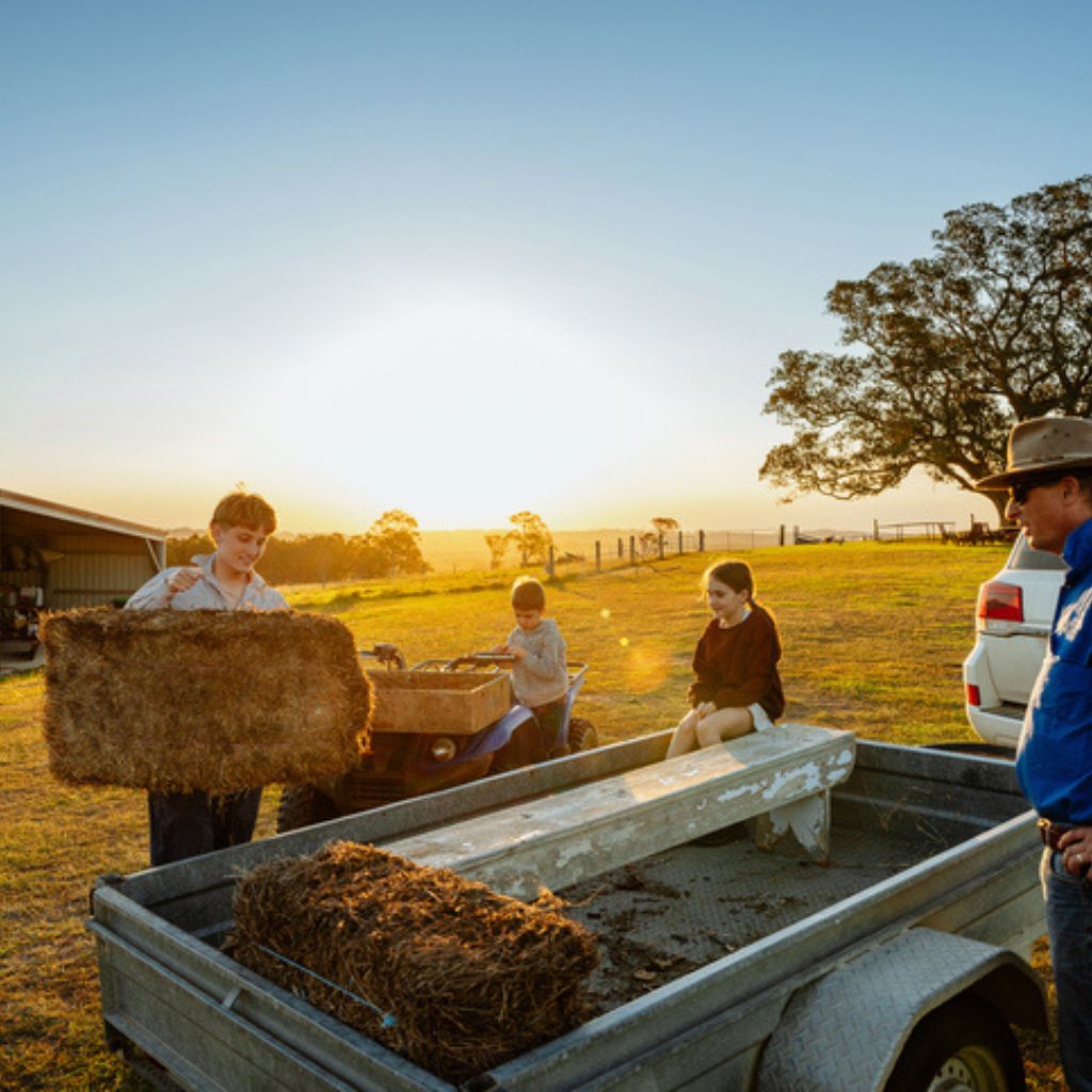 A group of children and an adult are working together on a farm, loading hay bales onto a trailer during sunset.